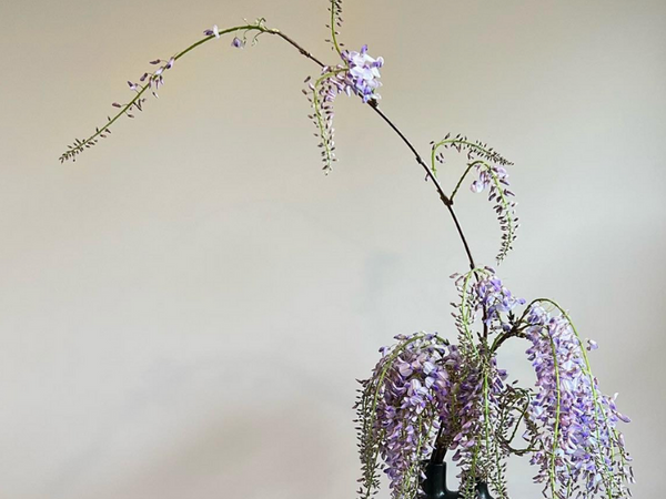 Shoan Lo | Ikebana | Melbourne